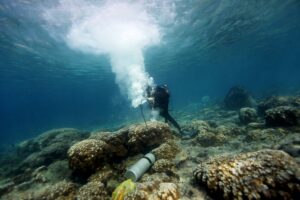 Historic El Niño Events Strengthen by 40% in Recent Decades, Study Finds