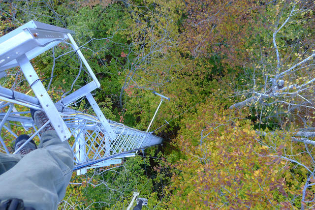 Study Reveals Decline in Carbon Absorption by New Hampshire Forest Study Reveals Decline in Carbon Absorption by New Hampshire Forest