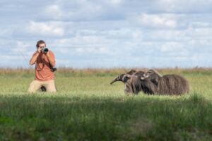 UVA Alumnus and Wildlife Photographer Henry Maillet Returns to Jungle UVA Alumnus and Wildlife Photographer Henry Maillet Returns to Jungle