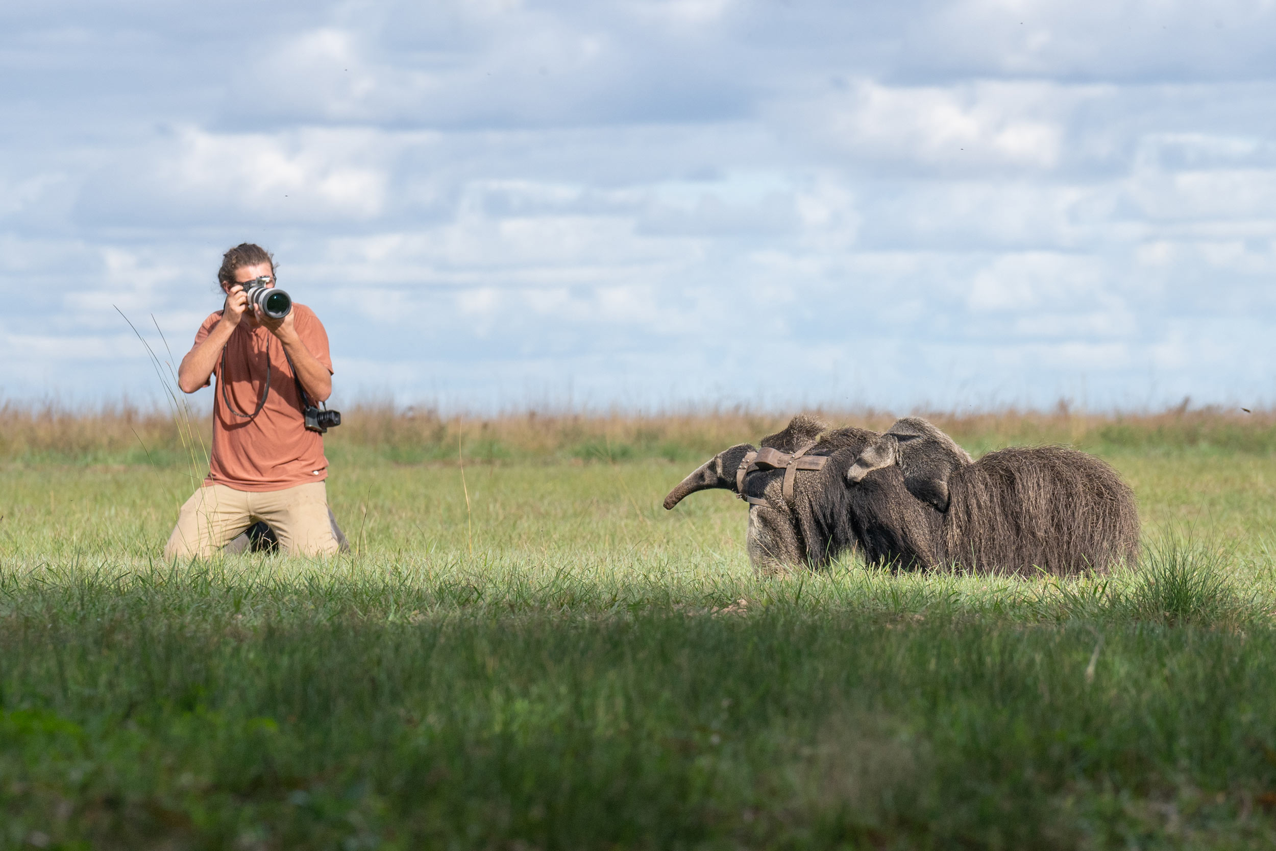 UVA Alumnus and Wildlife Photographer Henry Maillet Returns to Jungle