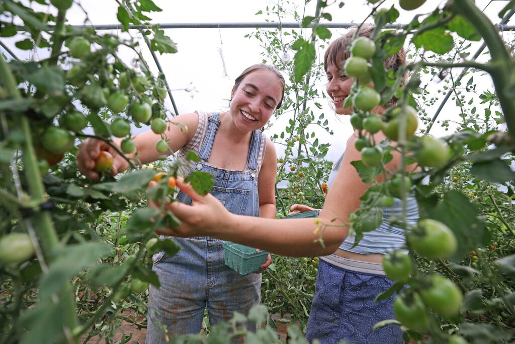 UVA Students Learn Sustainable Farming at Morven Kitchen Garden UVA Students Learn Sustainable Farming at Morven Kitchen Garden