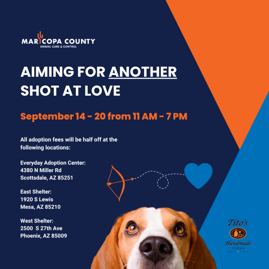 Aiming for Another Shot at Love: MCACC Dog Adoption Event