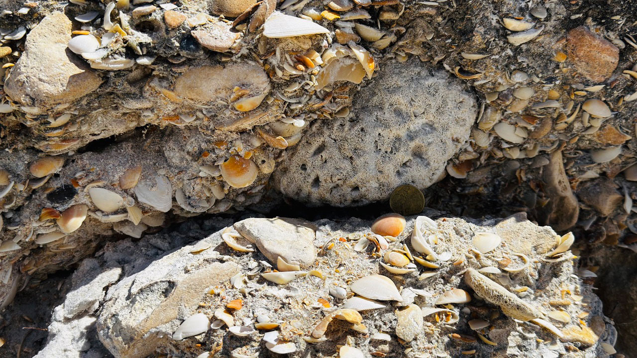 Amino Acid Geochronology: Dating Ancient Fossils Beyond Radiocarbon Amino Acid Geochronology: Dating Ancient Fossils Beyond Radiocarbon