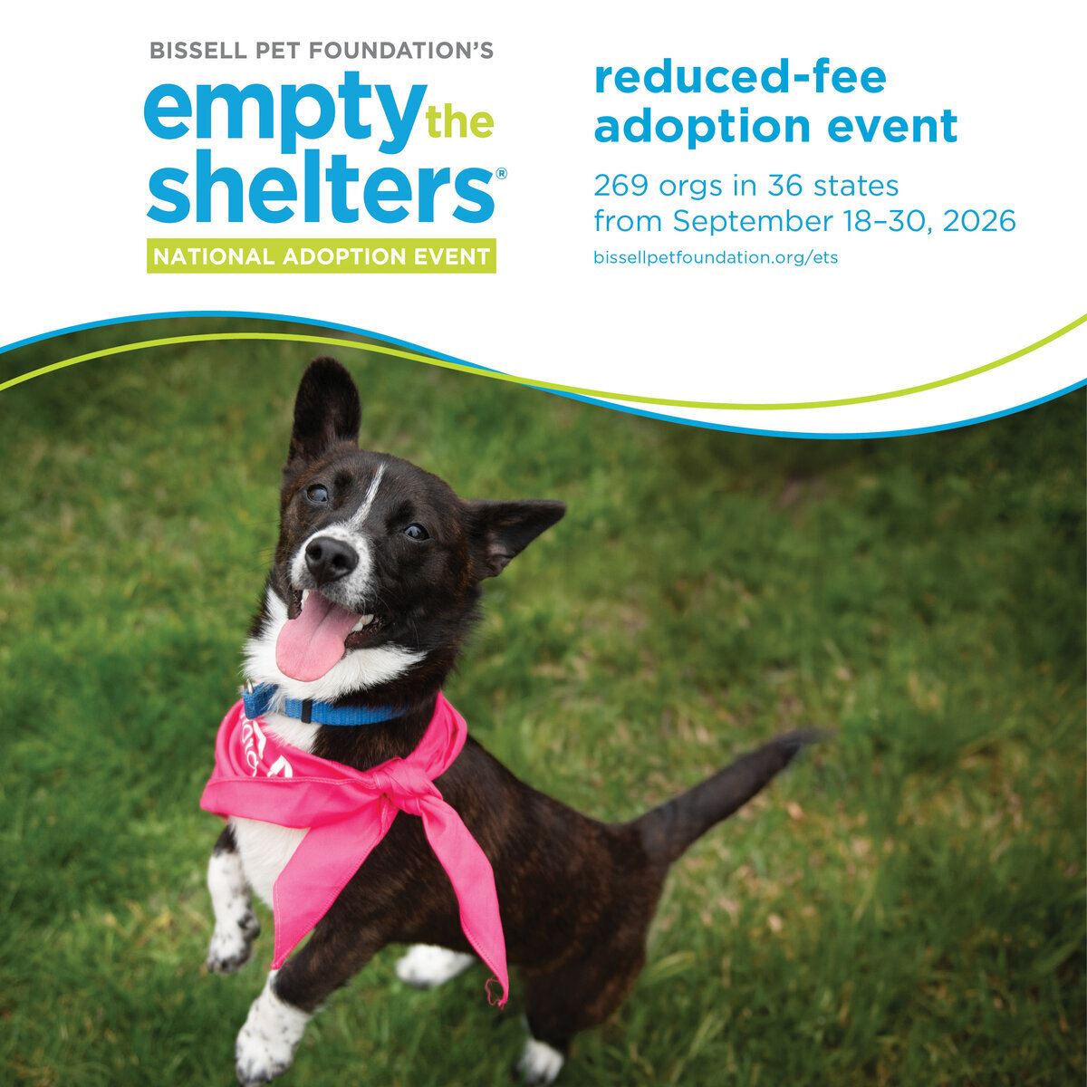 BISSELL Pet Foundation Hosts Fall 2026 “Empty the Shelters” Event