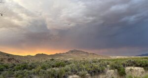 BLM Initiates Emergency Stabilization for Nevada Wildfire Recovery BLM Initiates Emergency Stabilization for Nevada Wildfire Recovery