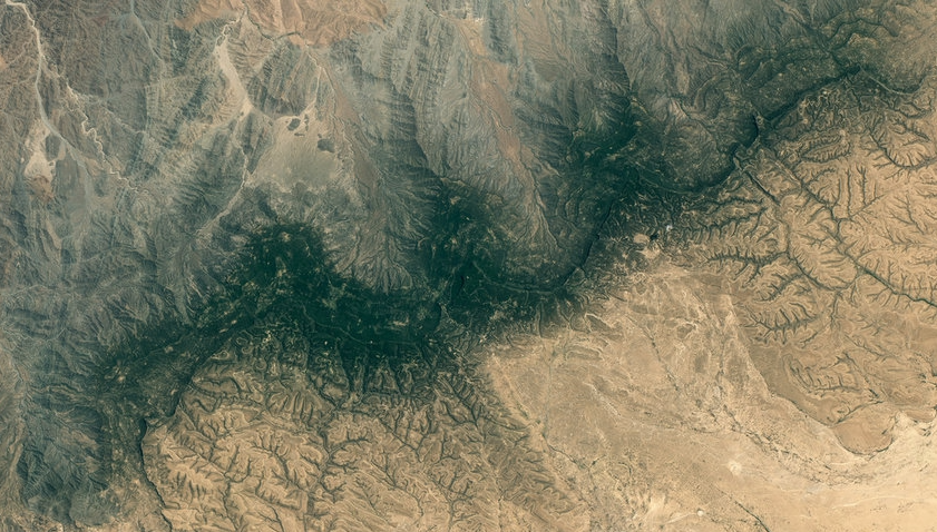 Dryland Ecosystems’ Instability Challenges Global Vegetation Models