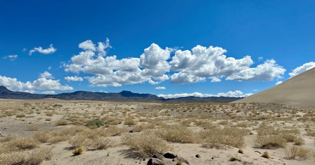 Join National Public Lands Day Cleanup at Tonopah’s Pirate Mine Area
