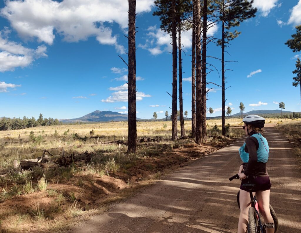 NAU Leads Initiative to Build 1,500-Mile Sun Corridor Trail in Arizona
