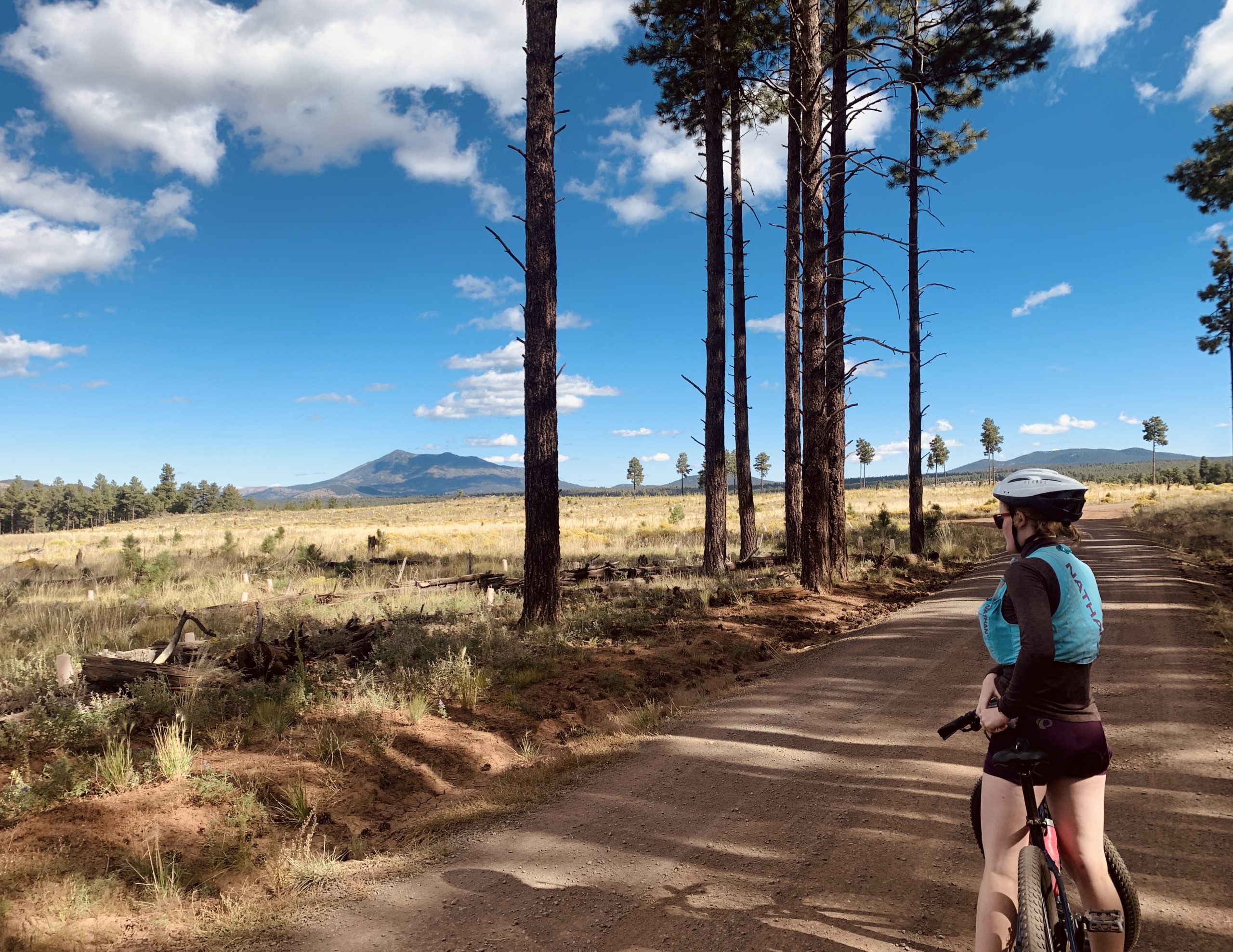 NAU Leads Initiative to Build 1,500-Mile Sun Corridor Trail in Arizona NAU Leads Initiative to Build 1,500-Mile Sun Corridor Trail in Arizona