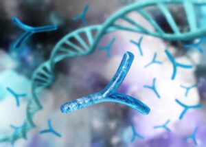 Study Links Y Chromosome Loss in Men to Increased Cancer Risk
