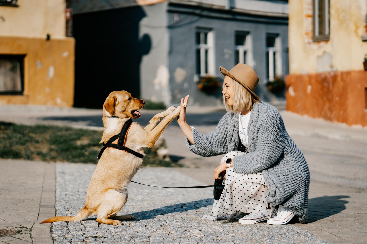 University of Arizona develops tool to analyze human-pet interactions University of Arizona develops tool to analyze human-pet interactions
