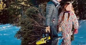 BLM Ely District Offers Online Christmas Tree-Cutting Permits