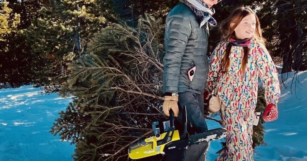 BLM Ely District Offers Online Christmas Tree-Cutting Permits BLM Ely District Offers Online Christmas Tree-Cutting Permits
