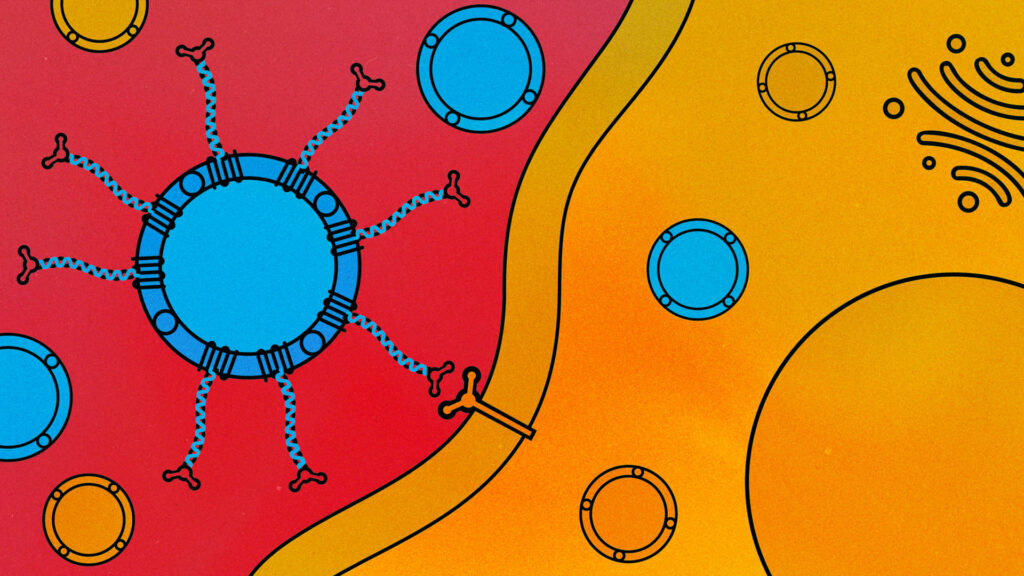 CMU’s Breakthrough in Customizable Drug Delivery CMU’s Breakthrough in Customizable Drug Delivery