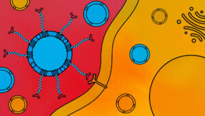 CMU’s Breakthrough in Customizable Drug Delivery