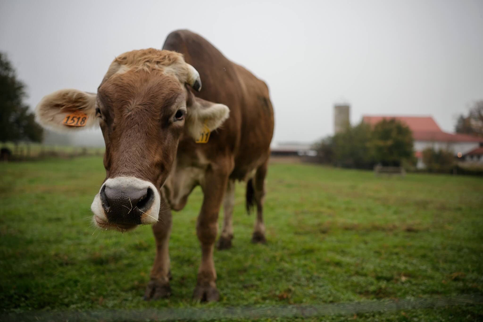 Governor Shapiro Launches Strategic Agriculture Plan for Pennsylvania