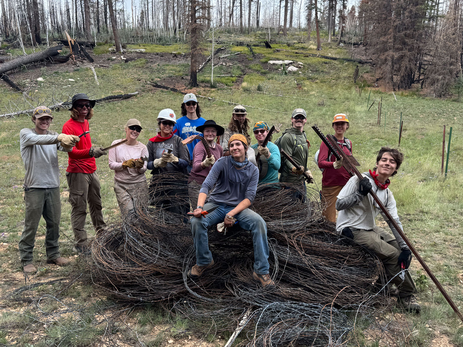 NAU Students Aid Grand Canyon Recovery After Dragon Bravo Fire NAU Students Aid Grand Canyon Recovery After Dragon Bravo Fire