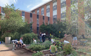 Reviving Shand Garden: HRM and Biological Sciences Collaborate