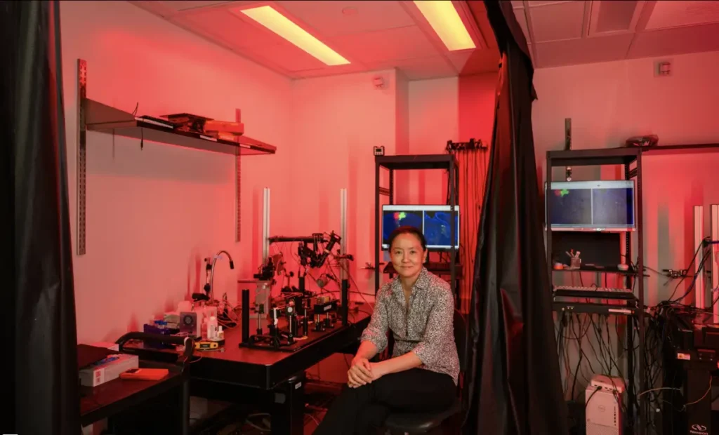 The Neuroscience Behind Nighttime Sensory Perception The Neuroscience Behind Nighttime Sensory Perception