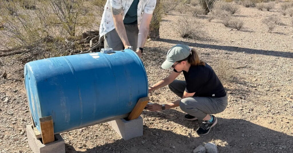 Border Crossings Are Down, But Migrant Deaths in the Arizona Desert Remain Stubbornly High