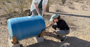 Border Crossings Are Down, But Migrant Deaths in the Arizona Desert Remain Stubbornly High