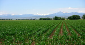 Lawsuit Targets EPA Over Weedkiller Contaminating Rivers Across the U.S., Including the Mountain West
