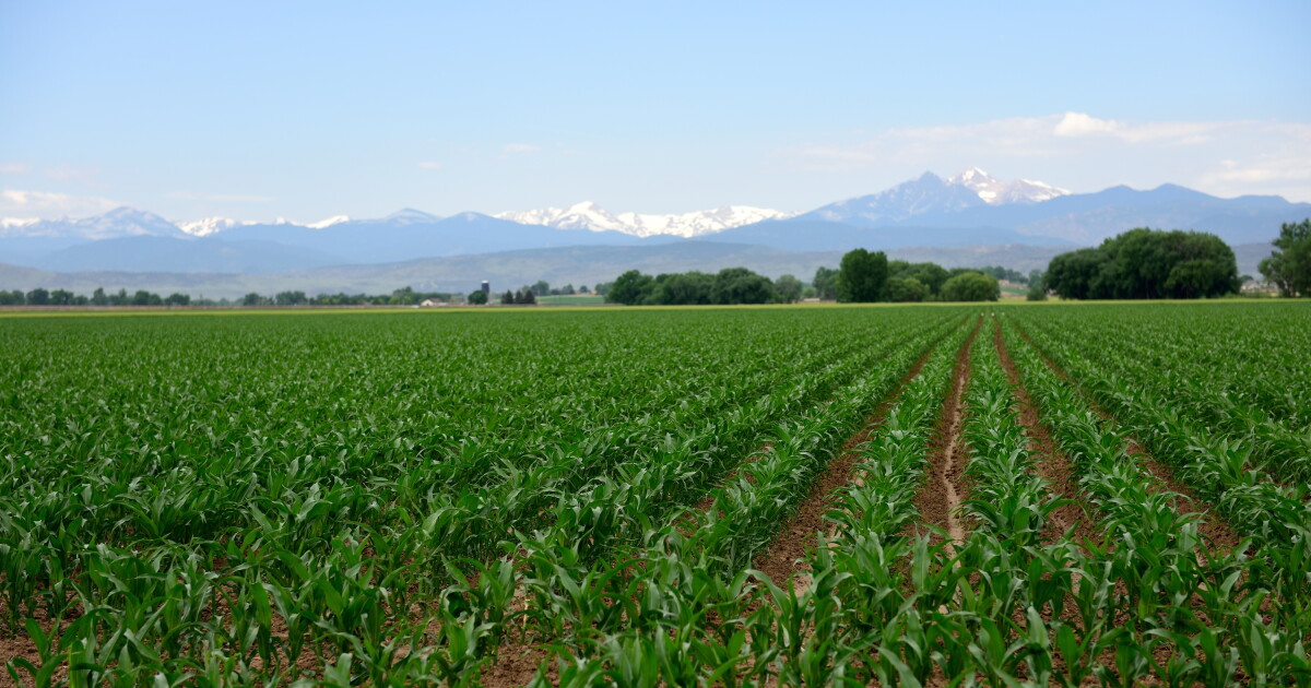 Lawsuit Targets EPA Over Weedkiller Contaminating Rivers Across the U.S., Including the Mountain West